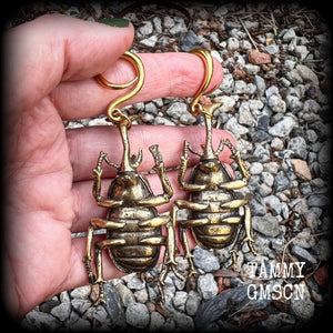 Brass beetle ear hangers Insect ear weights Rhinoceros beetle ear weights Elephant beetle 6mm 8mm 10mm 12mm 14mm 16mm 19mm 22mm 25mm 28mm 30mm Stretched ears Stretched lobes Insect earrings Bugs earrings Cottagecore earrings Fairycore earring
