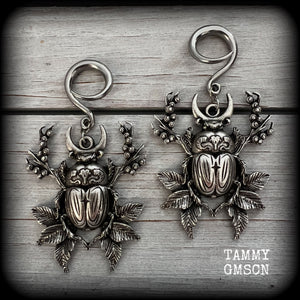 These gorgeous earrings feature large antique silver scarab beetles surrounded by berries and leaves with a crescent moon, measuring approx 7.5cms from tip to tip, and weigh 15 grams a piece.

This pair has been made on 6 gauge (4mm) gauge surgical steel full curls, to be worn in stretched lobes.