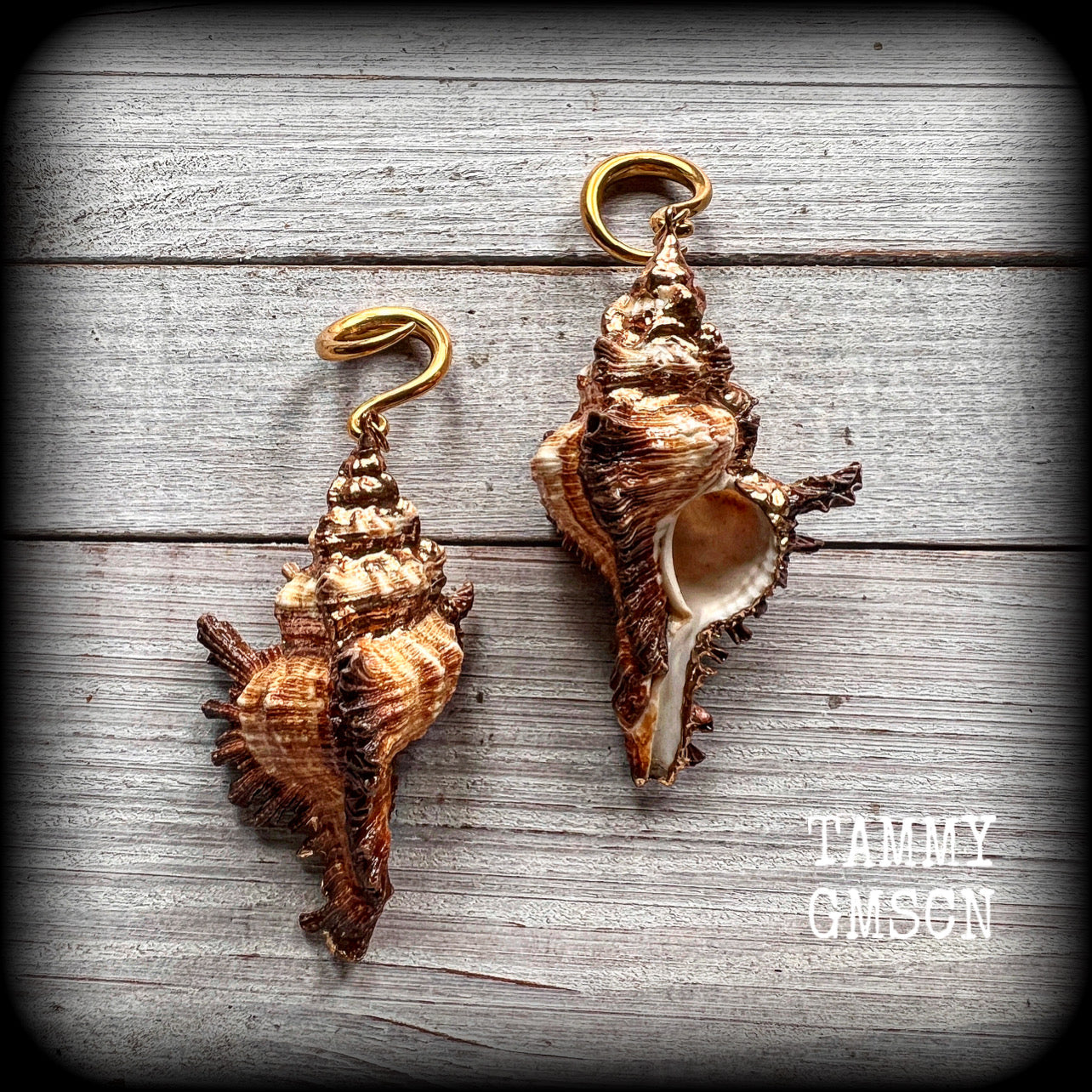 Conch shell body jewelry Shell ear gauges Shell tunnels Shell tunnel dangles Boho jewelry Gypsy boho jewellery Shell ear weights 6 gauge 2 gauge 0 gauge 00 gauge Stretched ears Stretched lobes Gauged ears 12mm 14mm 16mm 19mm 22mm 25mm 28mm 30mm 