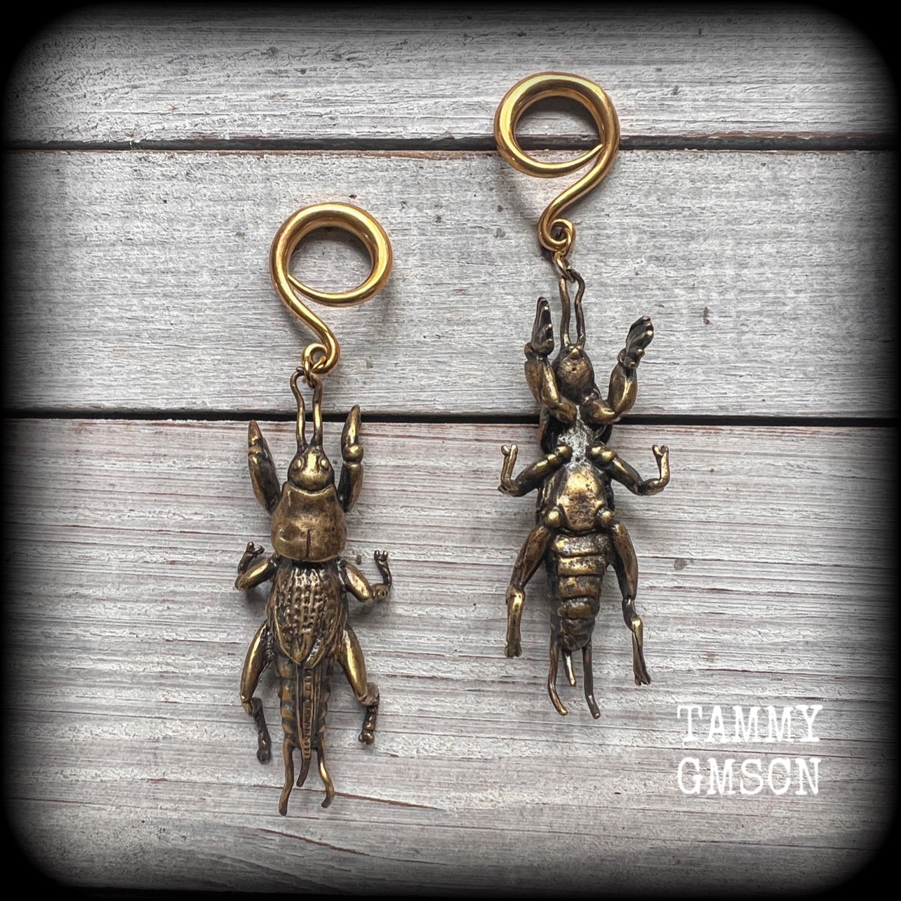 Brass ear hangers Mole cricket gauged earrings Insect ear weights 6 gauge ear weights Gauges 2g 0g 00g 1/2 9/16 5/8 3/4" 7/8 1” 4mm 6mm 8mm 10mm 12mm 14mm 16mm 19mm 22mm 25mm 28mm 30mm Gauged earrings Gauged ears Cottagecore Forestcore Forestpunk