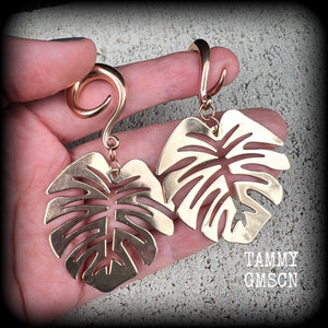 Leaf jewelry Crazy Plant People Australia CIPPA Plant people Plant jewelry Leaf earrings Plant earrings Leaf gauged earrings Stretched ears Stretched lobes Gauged ears Gauged earrings Tunnel dangles Plugs 6mm 8mm 10mm 12mm 14mm 16mm 19mm 22mm 25mm 28mm 30mm