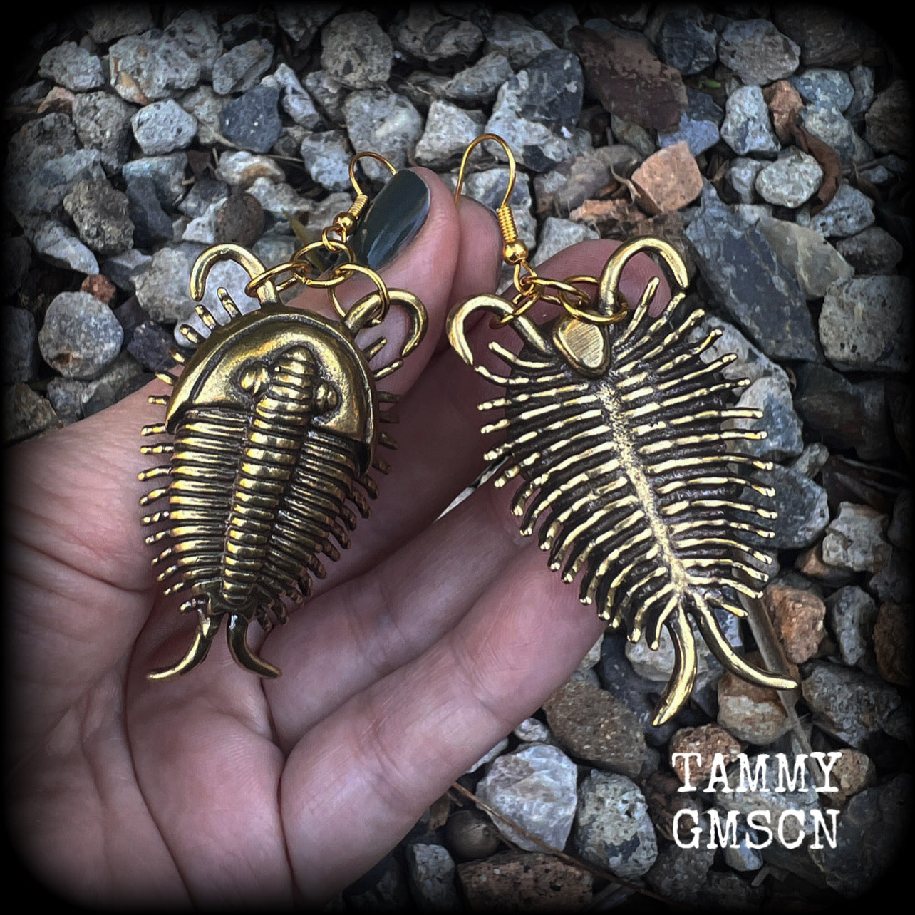 Trilobite fossil earrings Anthropod earrings Bugs earrings Locust earrings Insect earrings Fossil jewellery Pierced ears Bugs jewelry Gauges Ordovician fossils Crustaceans Spiders Horseshoe crabs Woodlice