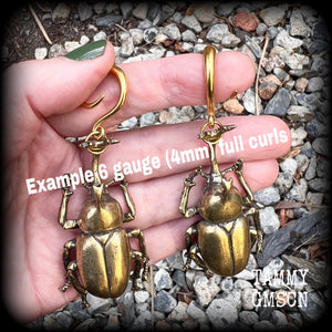 Brass beetle ear hangers Insect ear weights Rhinoceros beetle ear weights Elephant beetle 6mm 8mm 10mm 12mm 14mm 16mm 19mm 22mm 25mm 28mm 30mm Stretched ears Stretched lobes Insect earrings Bugs earrings Cottagecore earrings Fairycore earring
