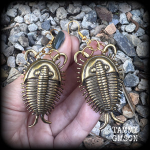 Trilobite fossil earrings Anthropod earrings Bugs earrings Locust earrings Insect earrings Fossil jewellery Pierced ears Bugs jewelry Gauges Ordovician fossils Crustaceans Spiders Horseshoe crabs Woodlice