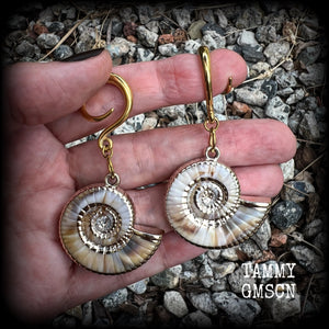These gauged earrings feature gorgeous acrylic nautilus sea shells, super lightweight- weighing 9 grams each, and nice and dangly, measuring just under 7cms from tip to tip.
These beautiful earrings have been made on 6 gauge (4mm) surgical steel full curl hooks, to be worn in stretched lobes.