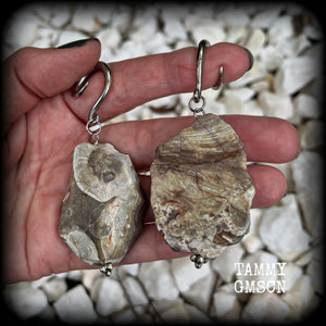 This pair of gorgeous gauged earrings features unique petrified wood slices, weighing in at approx 23 grams a piece, and are nice and dangly at just on 8cms from tip to tip.

This pair has been made on 6 gauge (4mm) surgical steel full curl hooks, to be worn in stretched lobes.
