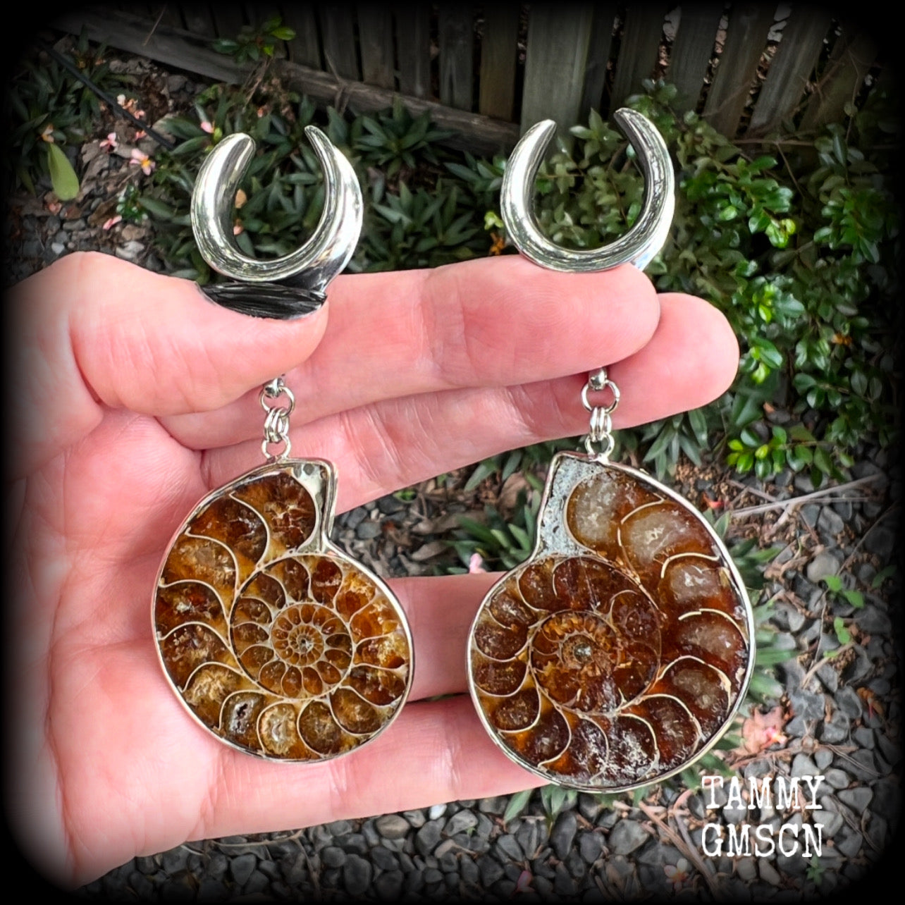 These big beautiful ammonite fossil gauged earrings are gorgeous!! This pair measures just on 9cms from tip to tip, and weigh in at approx 25 grams each.

♥️ IF YOU ORDER THESE EARRINGS YOU RECEIVE THIS EXACT PAIR ♥️

This pair has been made on 3/4" gauge (19mm) surgical steel cradles, suitable for stretched lobes.