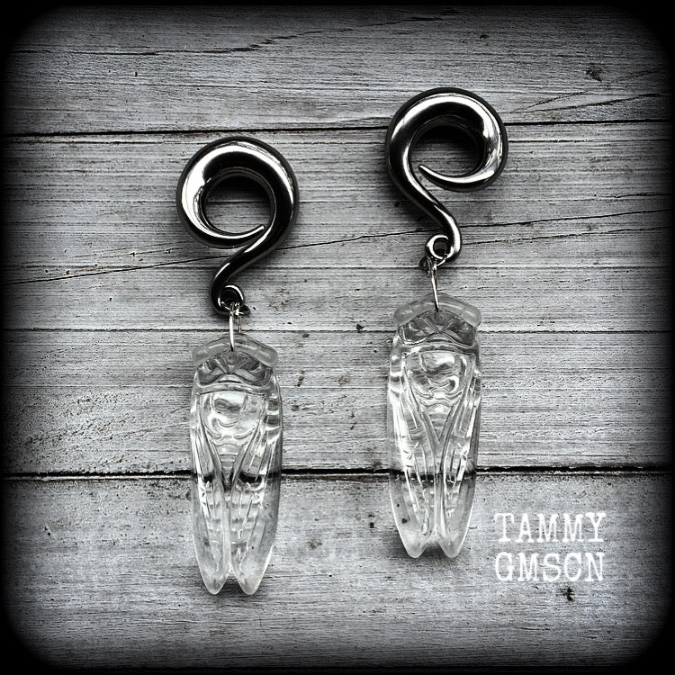 These unique earrings feature a pair of gorgeous clear glass cicada pendants, nice and dangly, measuring just over 9cms from tip to tip, and weighing approx 30 grams each.

This pair has been made on 0 gauge (8mm) surgical steel full curl hooks, to be worn in stretched lobes.