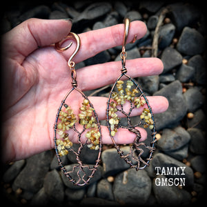 These beautiful Tree of life gauged earrings feature gorgeous wire wrapped trees with dusty green peridot gemstone chips, super dangly measuring just over 12cms from tip to tip, and weighing approx 20 grams each.

This pair has been made on 2 gauge (6mm) surgical steel full curl hooks, suitable for stretched lobes.