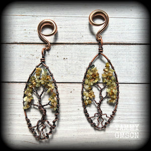 These beautiful Tree of life gauged earrings feature gorgeous wire wrapped trees with dusty green peridot gemstone chips, super dangly measuring just over 12cms from tip to tip, and weighing approx 20 grams each.

This pair has been made on 2 gauge (6mm) surgical steel full curl hooks, suitable for stretched lobes.