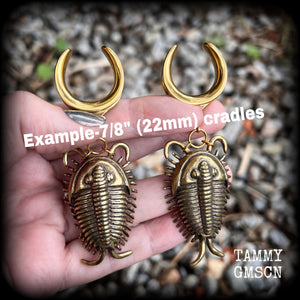 Trilobite ear weights Fossil ear weights 22mm ear weights 7/8” gauge ear weights Gauged earrings Beetles Insect ear weights Trilobite beetle fossils Gauged ears Stretched ears Stretched lobes 4mm 6mm 8mm 10mm 12mm 14mm 16mm 19mm 22mm 25mm 28mm 30mm