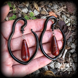 Jasper ear hangers
