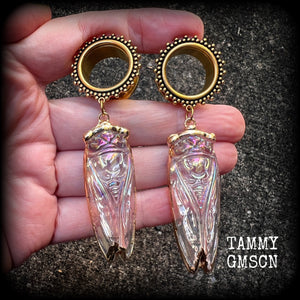 Cicada tunnel earrings 