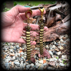 These awesome brass centipede ear hangers feature gorgeous brass invertebtrate pendants, measuring just over 17cms from tip to tip, and weighing approx 55 grams each, nice and dangly with a nice bit of weight.

This pair has been made on 5/8” gauge (16mm) titanium coated surgical steel saddles, suitable for stretched lobes.

