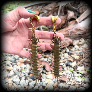These awesome brass centipede ear hangers feature gorgeous brass invertebtrate pendants, measuring just over 17cms from tip to tip, and weighing approx 55 grams each, nice and dangly with a nice bit of weight.

This pair has been made on 5/8” gauge (16mm) titanium coated surgical steel saddles, suitable for stretched lobes.

