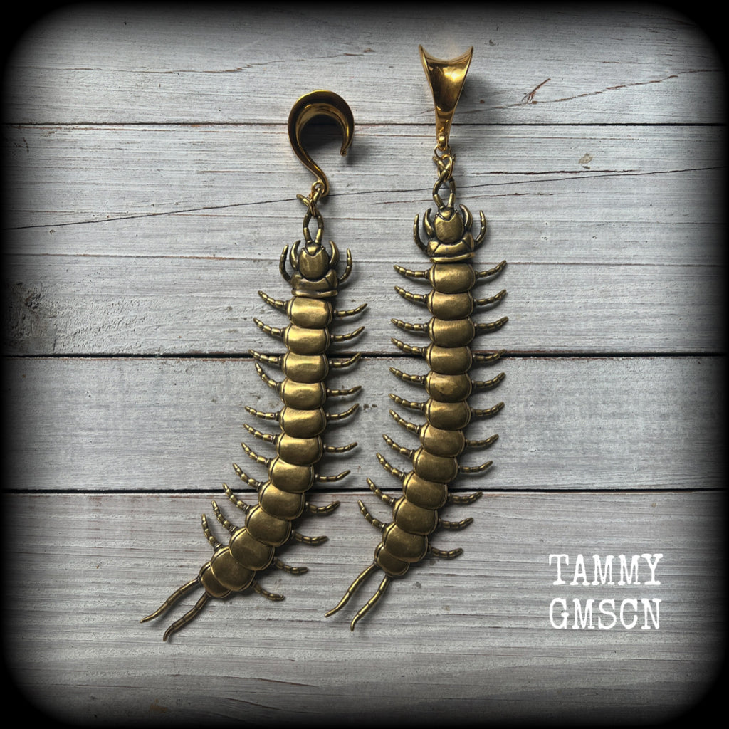 These awesome brass centipede ear hangers feature gorgeous brass invertebtrate pendants, measuring just over 17cms from tip to tip, and weighing approx 55 grams each, nice and dangly with a nice bit of weight.

This pair has been made on 5/8” gauge (16mm) titanium coated surgical steel saddles, suitable for stretched lobes.

