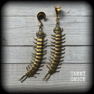 These awesome brass centipede ear hangers feature gorgeous brass invertebtrate pendants, measuring just over 17cms from tip to tip, and weighing approx 55 grams each, nice and dangly with a nice bit of weight.

This pair has been made on 5/8” gauge (16mm) titanium coated surgical steel saddles, suitable for stretched lobes.

