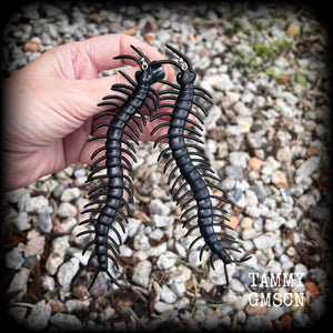 Millipede earrings Bugs earrings Centipede earrings Insects earrings Insect earrings Oversize earrings Pierced ears Stretched lobes Gauged ears Gauged earrings Curiosities Entomology Mossgoth Gothic jewellery Whimsigoth Cottagecore Goblincore Gauges