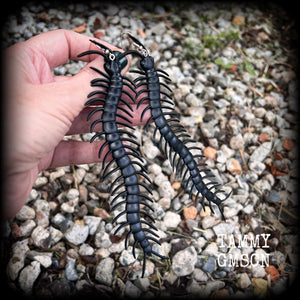 Millipede earrings Bugs earrings Centipede earrings Insects earrings Insect earrings Oversize earrings Pierced ears Stretched lobes Gauged ears Gauged earrings Curiosities Entomology Mossgoth Gothic jewellery Whimsigoth Cottagecore Goblincore Gauges