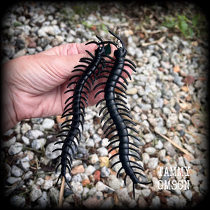 Millipede earrings Bugs earrings Centipede earrings Insects earrings Insect earrings Oversize earrings Pierced ears Stretched lobes Gauged ears Gauged earrings Curiosities Entomology Mossgoth Gothic jewellery Whimsigoth Cottagecore Goblincore Gauges