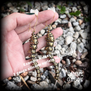 Brass caterpillar earrings Grub earrings Grubs earrings Insect earrings Bugs earrings Moth earrings Hornworm earrings Pierced ears Gauged earrings Gauges Stretched ears Stretched lobes Gauged ears Kidney hooks Ear hangers Entomology Cottagecore Goblincore