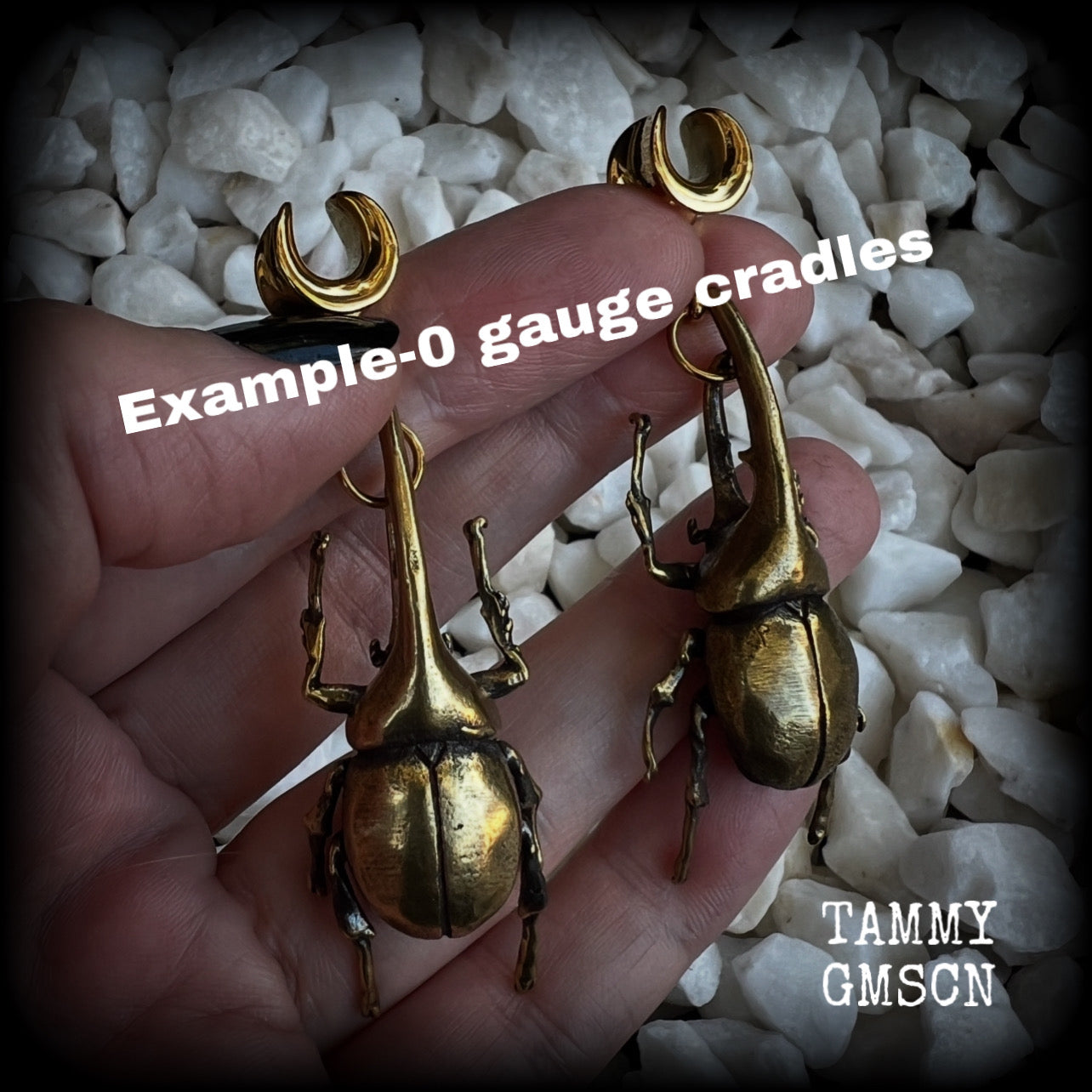 Brass rhinoceros beetle gauged earrings-Hercules beetle ear weights