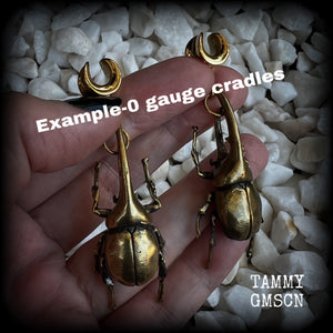 Brass rhinoceros beetle gauged earrings-Hercules beetle ear weights