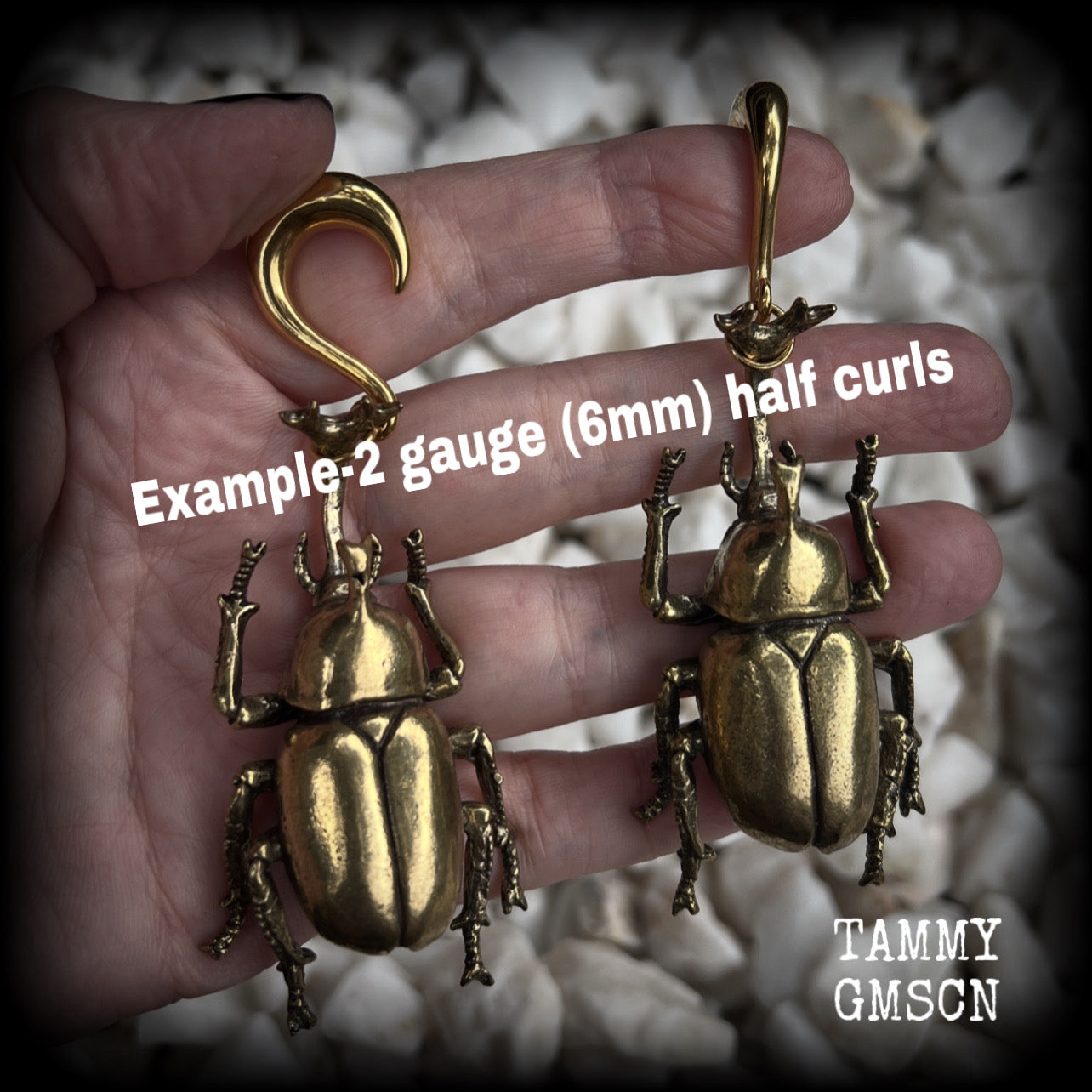 Brass rhinoceros elephant beetle gauged earrings-Insect ear weights