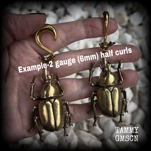 Brass rhinoceros elephant beetle gauged earrings-Insect ear weights