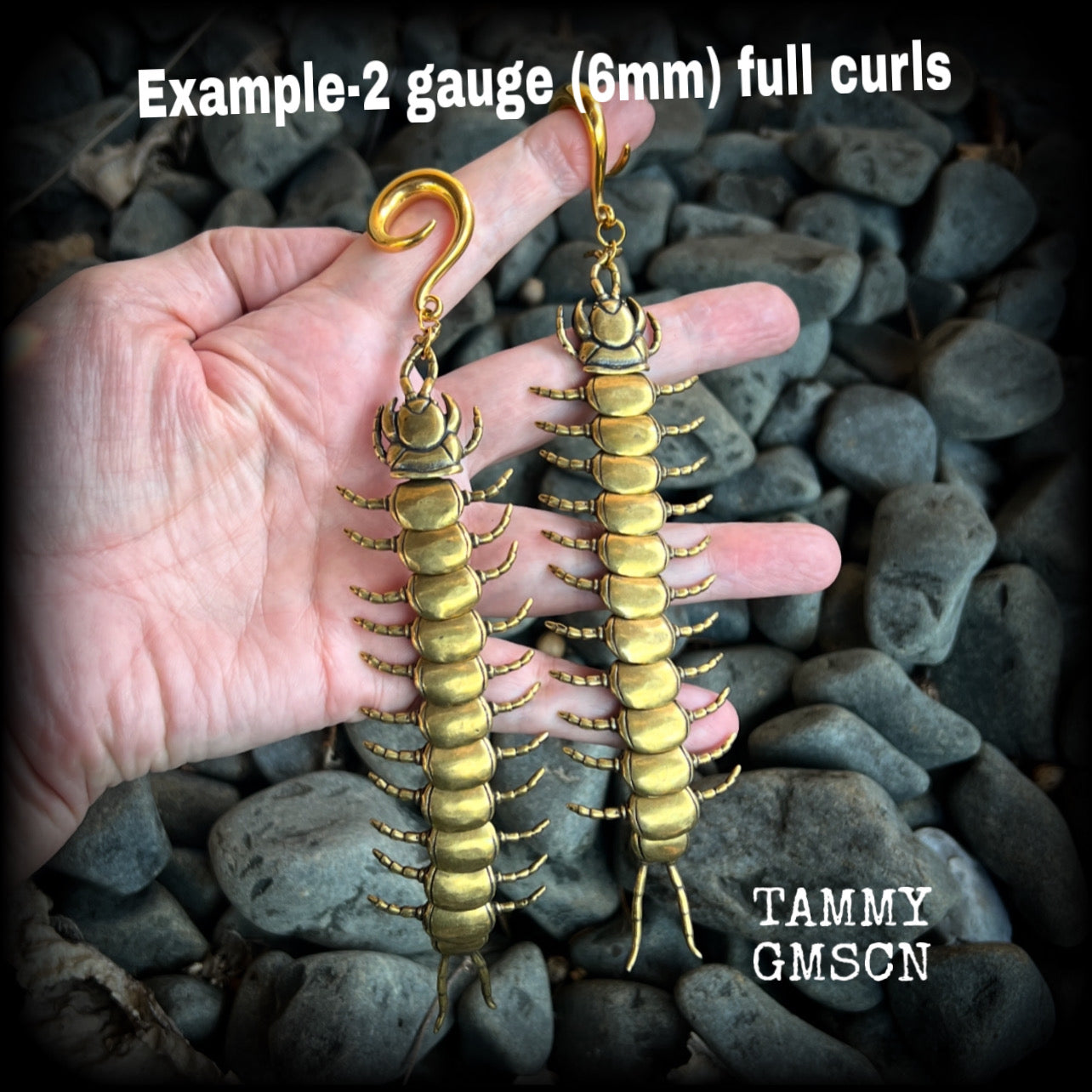 Brass centipede gauged earrings-Insect ear weights