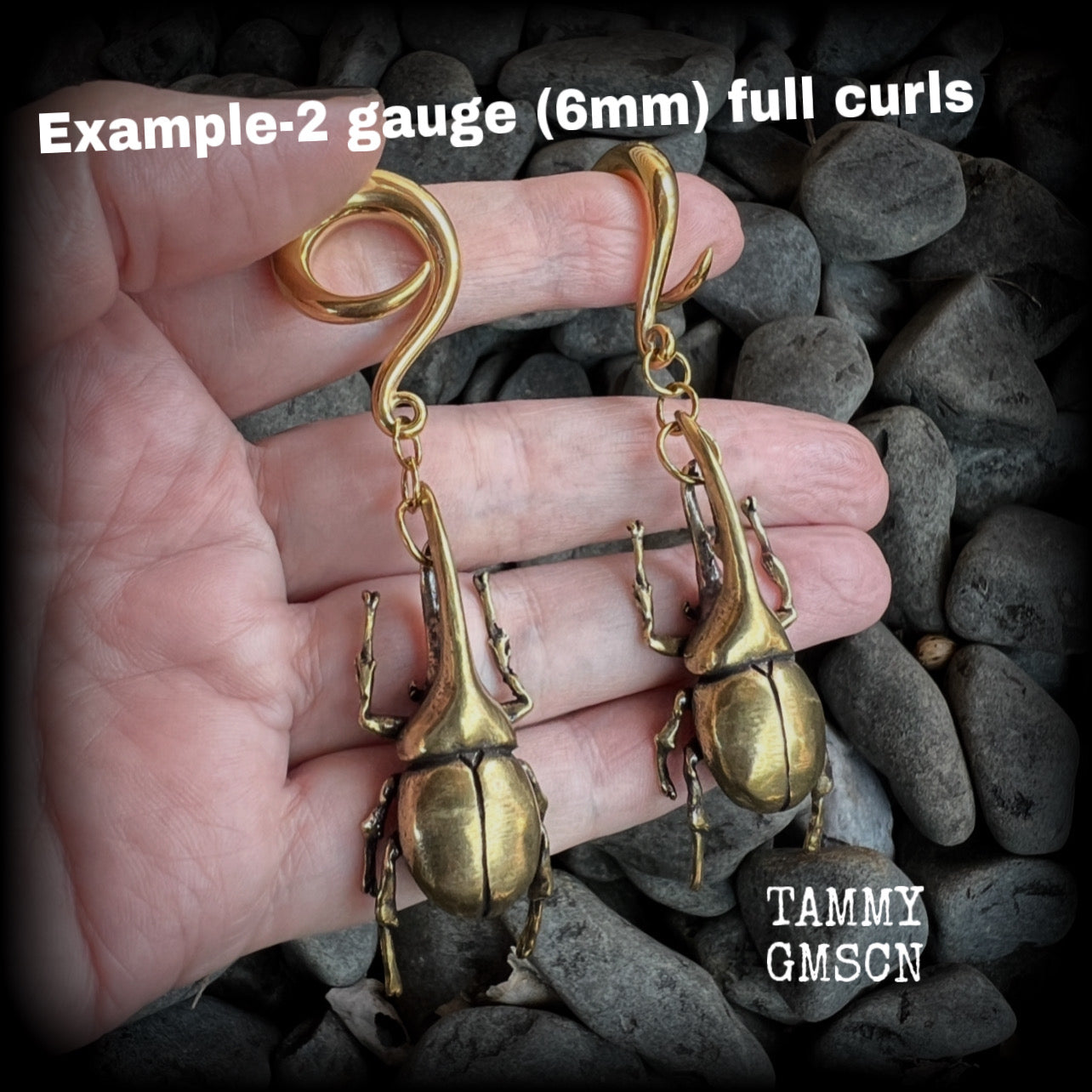 Brass rhinoceros beetle gauged earrings-Hercules beetle ear weights