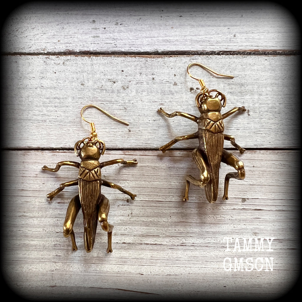 Cricket earrings Crickets earrings Bugs earrings Statement earrings Insect earrings Pierced ears Ear hangers Stretched lobes Gauged earrings Moss goth Cottagecore Entomology Curiosities Bugs and insects Whimsygoth Whimsigoth Forestcore Forestpunk