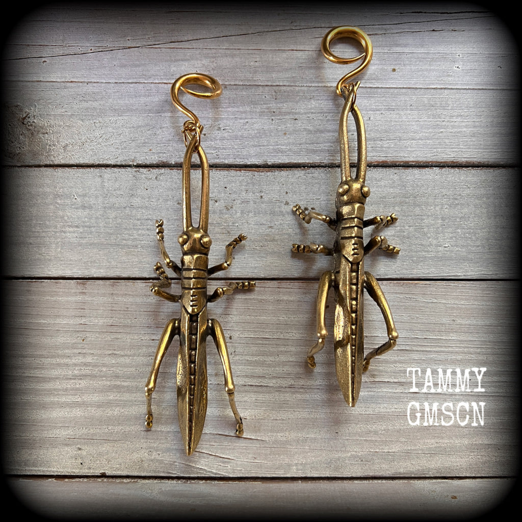 Brass insect ear hangers Insect ear weights Brass cricket ear weights Oversize ear weights 6mm 8mm 10mm 12mm 14mm 16mm 19mm 22mm 25mm 28mm 30mm Stretched ears Stretched lobes Insect earrings Bugs earrings Cottagecore earrings Fairycore earrings