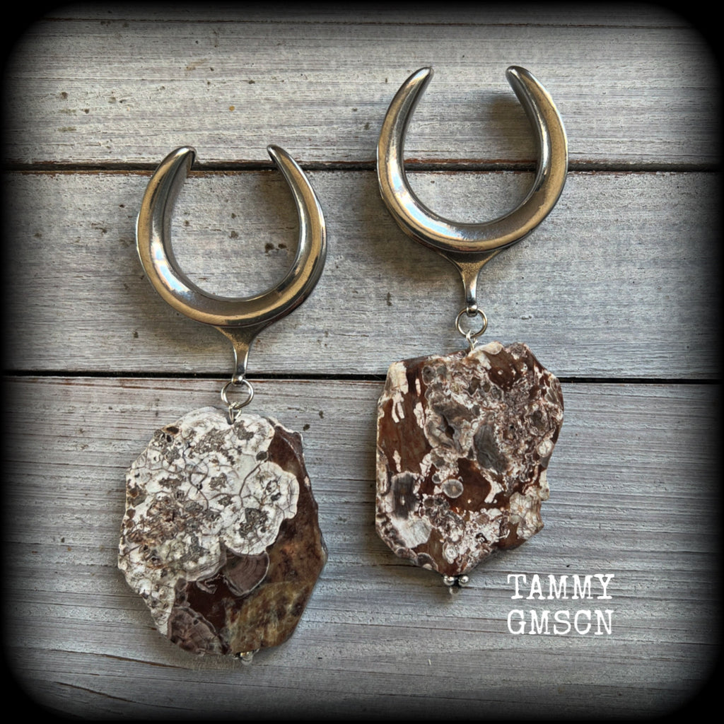 Petrified wood slice ear weights-Unique wood ear hangers