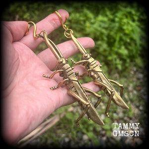 Brass insect ear hangers Insect ear weights Brass cricket ear weights Oversize ear weights 6mm 8mm 10mm 12mm 14mm 16mm 19mm 22mm 25mm 28mm 30mm Stretched ears Stretched lobes Insect earrings Bugs earrings Cottagecore earrings Fairycore earrings