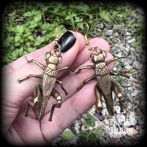 Cricket earrings Crickets earrings Bugs earrings Statement earrings Insect earrings Pierced ears Ear hangers Stretched lobes Gauged earrings Moss goth Cottagecore Entomology Curiosities Bugs and insects Whimsygoth Whimsigoth Forestcore Forestpunk