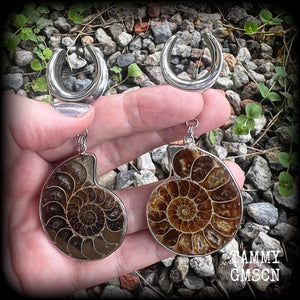 Ammonite fossil earrings made for 19mm stretched lobes with a cradle style hook.
These are big beautiful earrings available from 4mm up to 30mm.