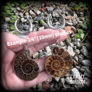 Ammonite fossil earrings made for 19mm stretched lobes with a cradle style hook.
These are big beautiful earrings available from 4mm up to 30mm.