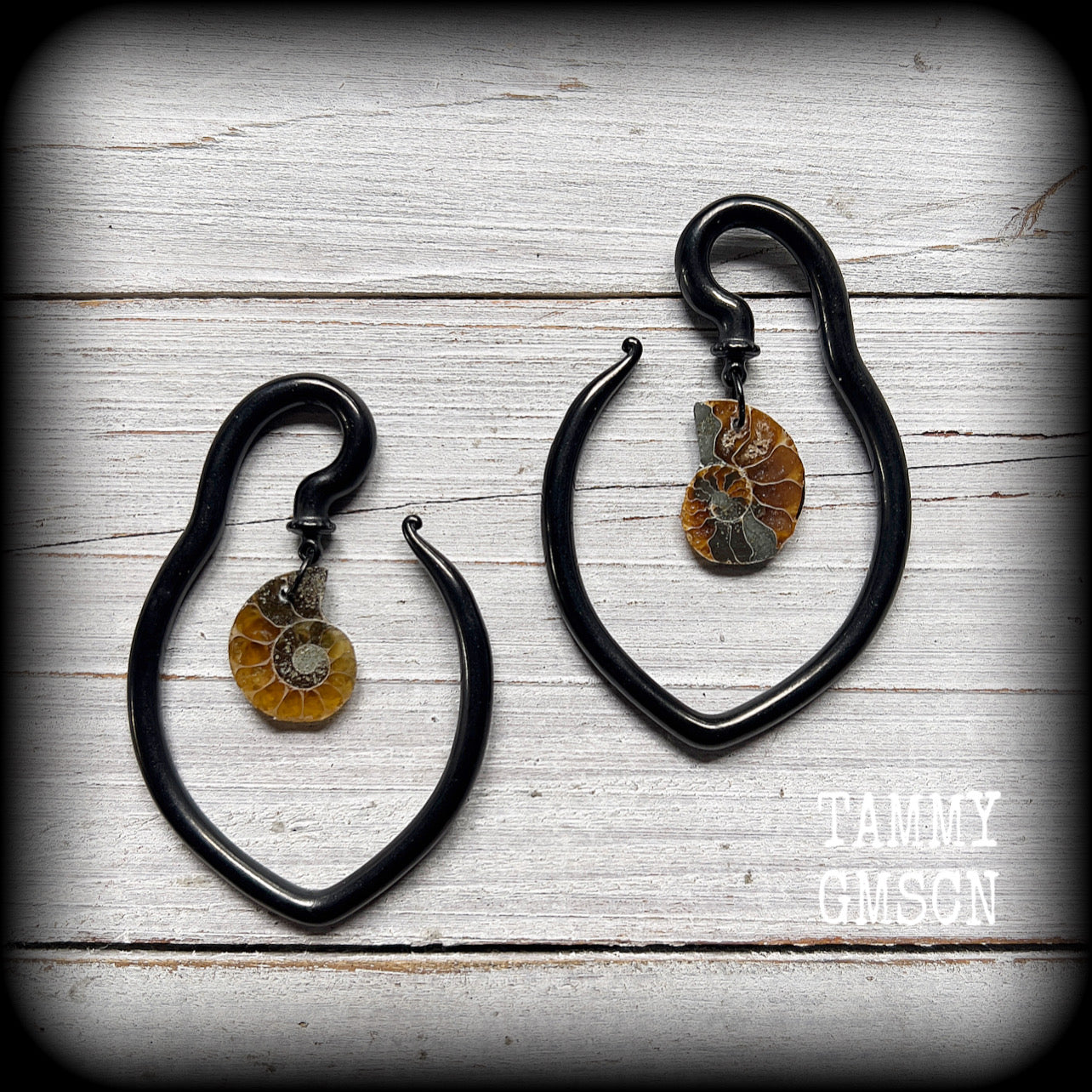 Ammonite earrings 