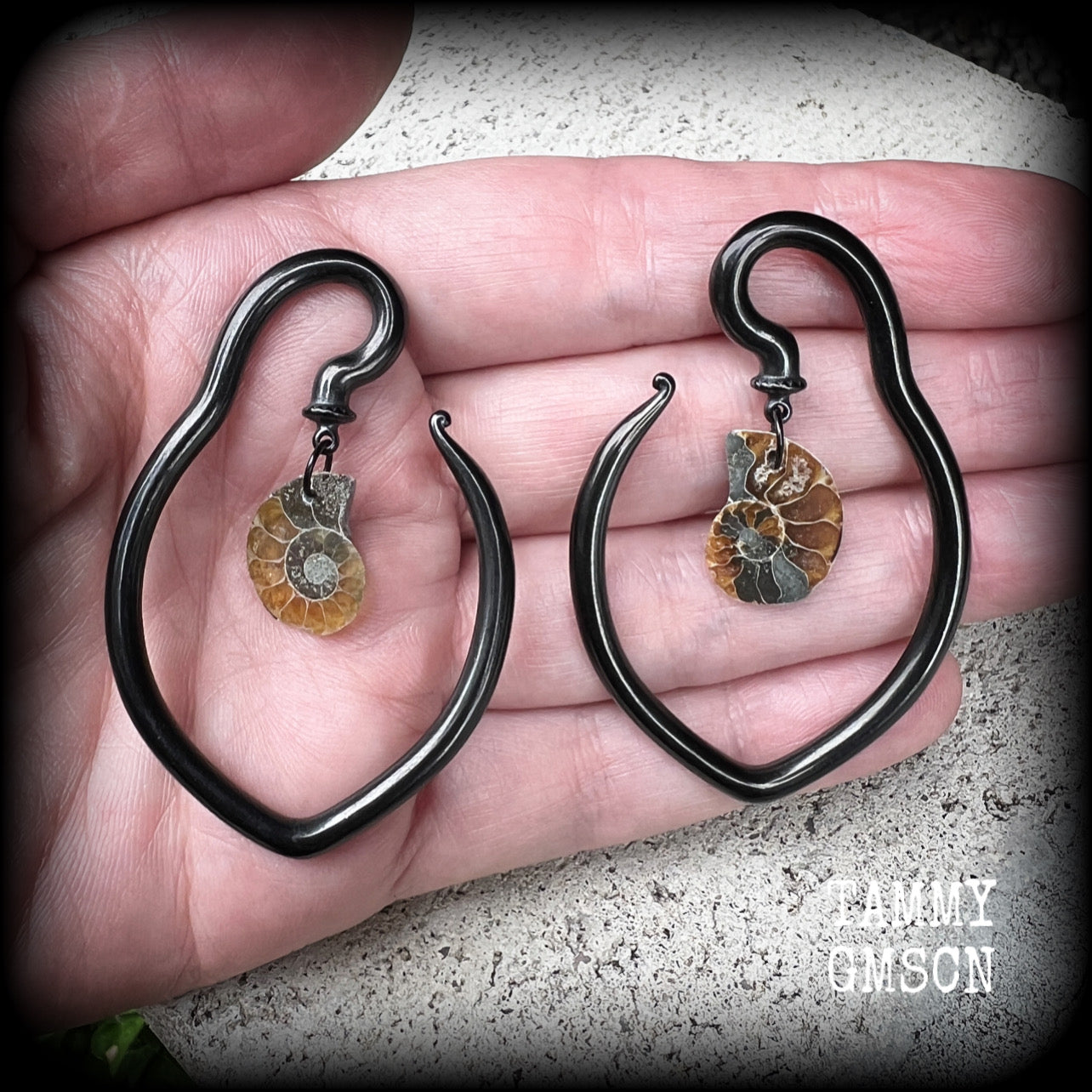 Ammonite ear gauges