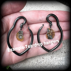 Ammonite jewelry 