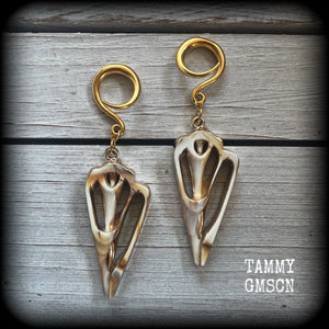 These gauged earrings feature gorgeous acrylic conch sea shell slices , super lightweight- weighing 7 grams each, and nice and dangly, measuring just over 8cm from tip to tip. 

These beautiful earrings have been made on 6 gauge (4mm) surgical steel full curl hooks, to be worn in stretched lobes.