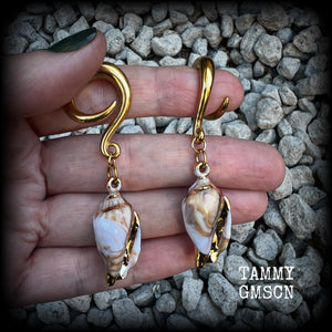 These gauged earrings feature gorgeous acrylic conch sea shells, super lightweight- weighing 10 grams each, and nice and dangly, measuring just on 7cms from tip to tip. 

These beautiful earrings have been made on 2 gauge (6mm) surgical steel full curl hooks, to be worn in stretched lobes.