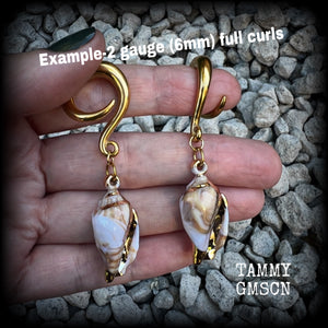 These gauged earrings feature gorgeous acrylic conch sea shells, super lightweight- weighing 10 grams each, and nice and dangly, measuring just on 7cms from tip to tip. 

These beautiful earrings have been made on 2 gauge (6mm) surgical steel full curl hooks, to be worn in stretched lobes.