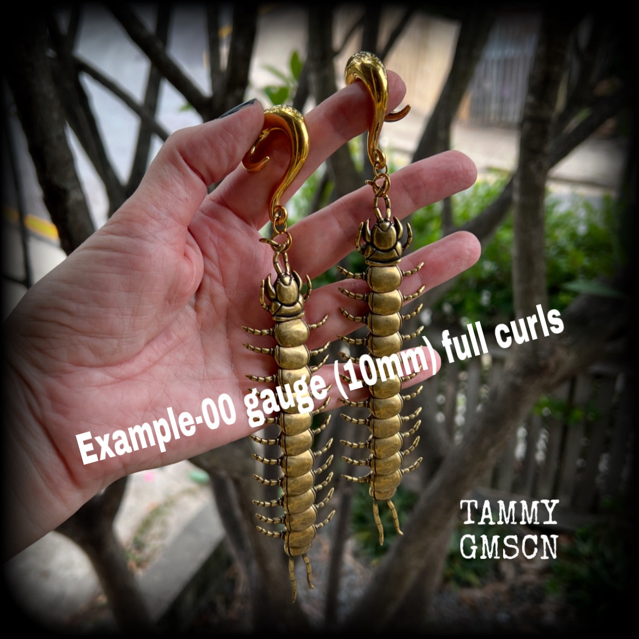 Brass centipede gauged earrings-Insect ear weights