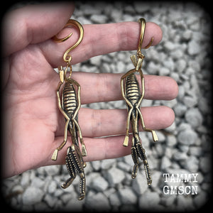 These awesome brass ear hangers feature gorgeous brass praying mantis pendants, measuring just on 10cms from tip to tip, and weighing approx 19 grams each, nice and dangly and not too heavy.

This pair has been made on 6 gauge (4mm) titanium coated surgical steel full curls, suitable for stretched lobes.