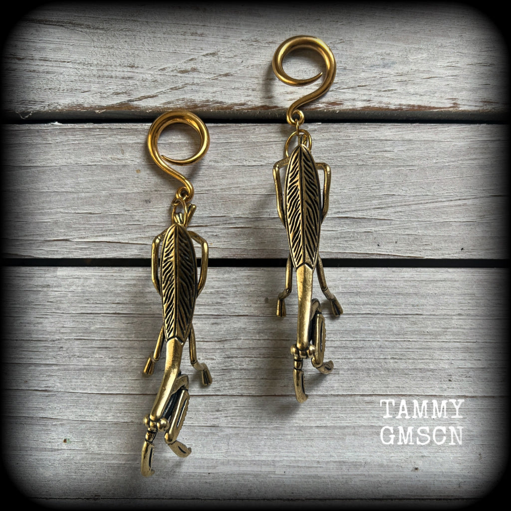These awesome brass ear hangers feature gorgeous brass praying mantis pendants, measuring just on 10cms from tip to tip, and weighing approx 19 grams each, nice and dangly and not too heavy.

This pair has been made on 6 gauge (4mm) titanium coated surgical steel full curls, suitable for stretched lobes.