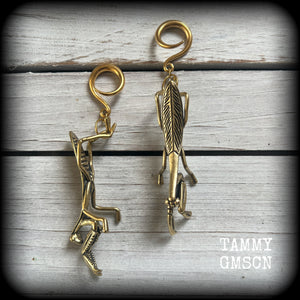 These awesome brass ear hangers feature gorgeous brass praying mantis pendants, measuring just on 10cms from tip to tip, and weighing approx 19 grams each, nice and dangly and not too heavy.

This pair has been made on 6 gauge (4mm) titanium coated surgical steel full curls, suitable for stretched lobes.
