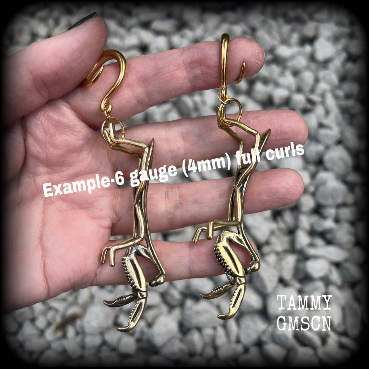 These awesome brass ear hangers feature gorgeous brass praying mantis pendants, measuring just on 10cms from tip to tip, and weighing approx 19 grams each, nice and dangly and not too heavy.

This pair has been made on 6 gauge (4mm) titanium coated surgical steel full curls, suitable for stretched lobes.