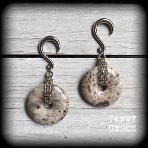 Fossil ear hangers Fossilised coral ear gauges Coral jasper ear weights 6 gauge ear weights Fossil earrings Stretched lobes Ear gauges Gauged earrings Gauged ears Stretched ears Body jewelry Fossil ear weights 6g 2g 0g 00g 1/2" 9/16" 5/8" 3/4" 7/8" 1" 1.10" 1.18"